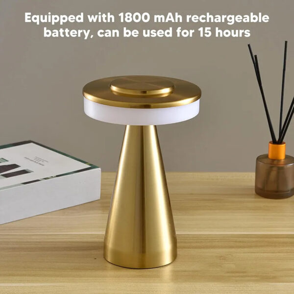 Portable LED Desk Lamp with 3 Mode